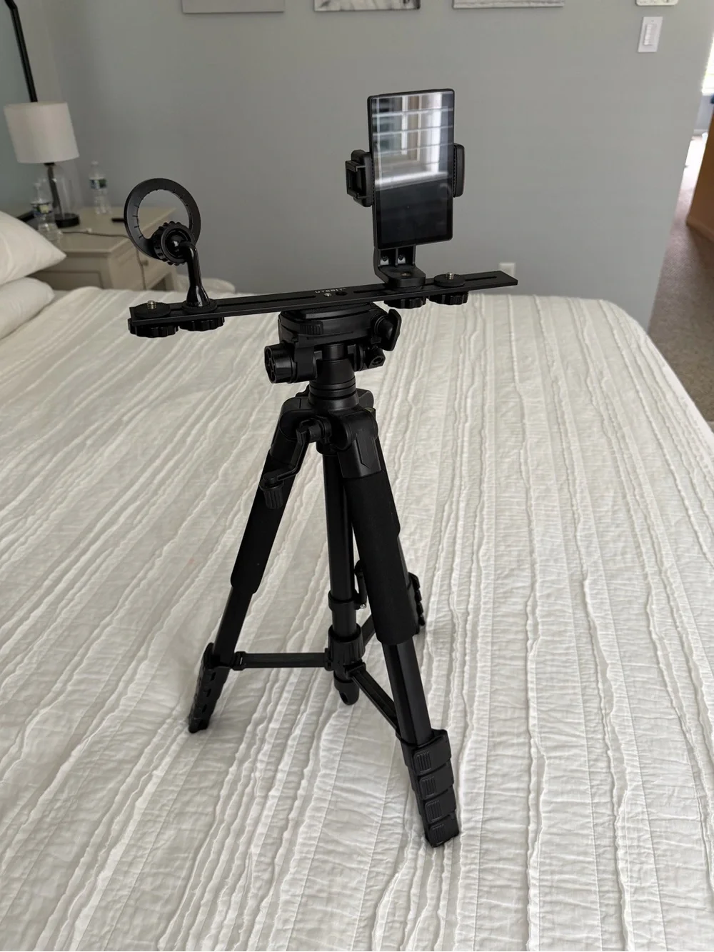 Content creator tripod bundle with vlog screen
